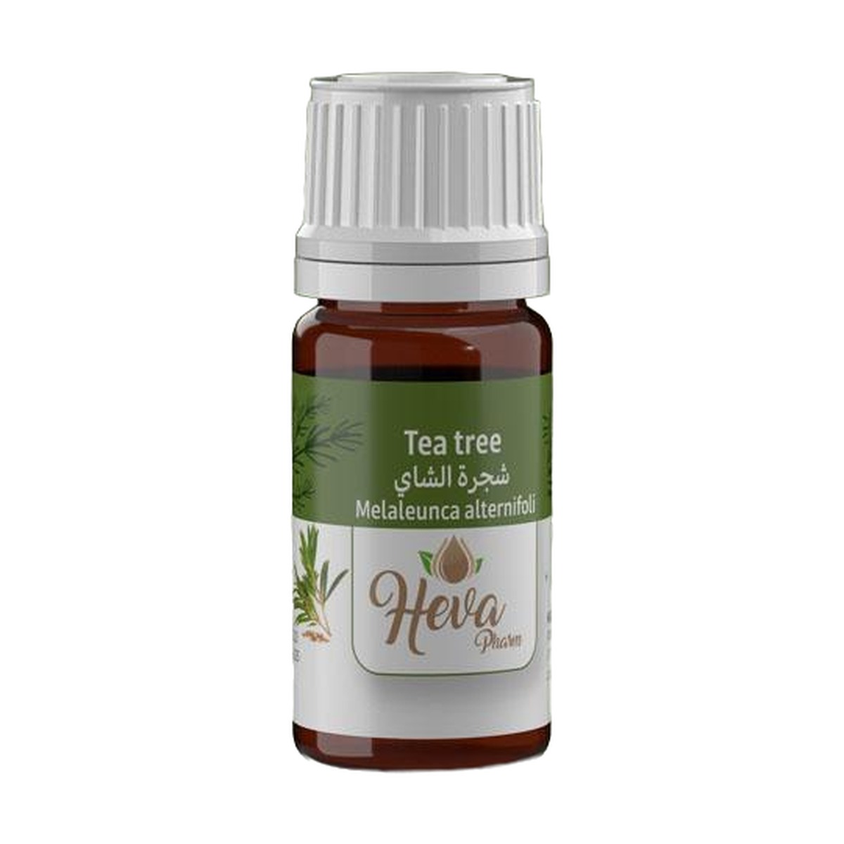 HEVA Huile Essentielle Tea Tree (Arbre à Thé) 5 ml
