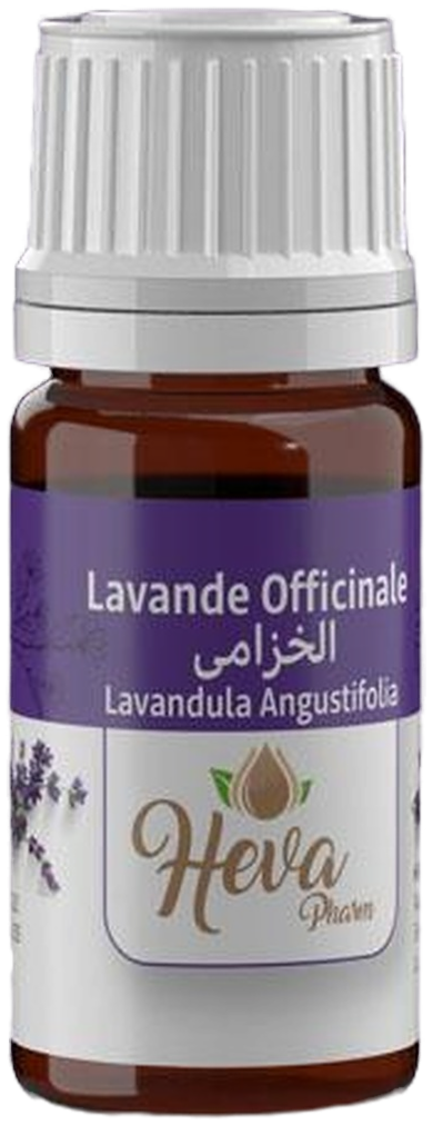 HEVA Huile Essentielle Lavande Officinale 5 ml — vue 2