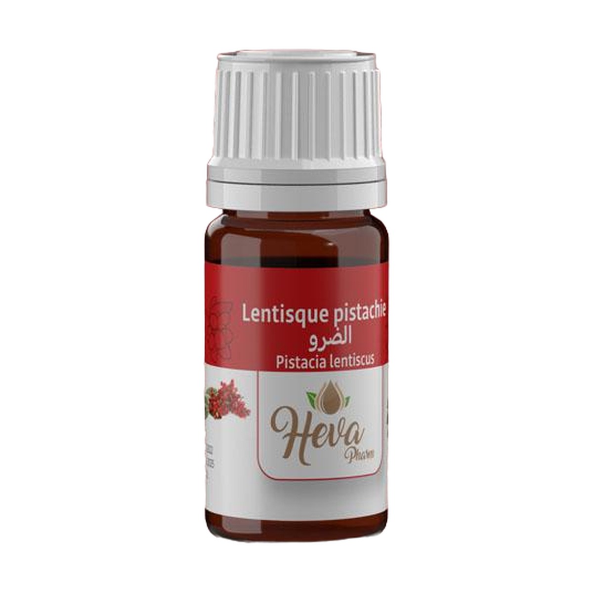 HEVA Huile Essentielle Lentisque Pistachier 5 ml
