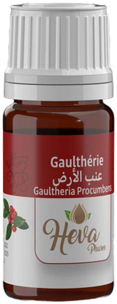 HEVA Huile Essentielle Gaulthérie 5 ml — vue 2