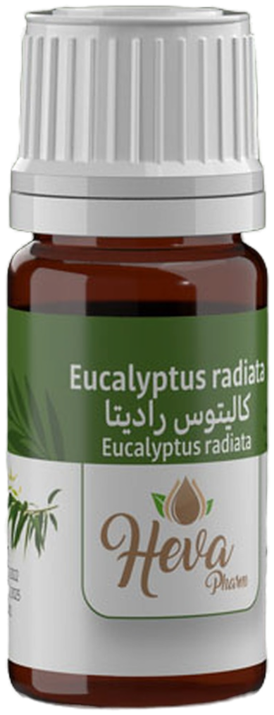 HEVA Huile Essentielle Eucalyptus Radié (Radiata) 5 ml — vue 2