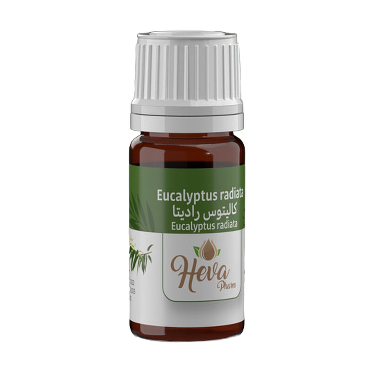 HEVA Huile Essentielle Eucalyptus Radié (Radiata) 5 ml